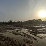 زمین زراعی 10000 متری خشکبیجار - ویترین ملک