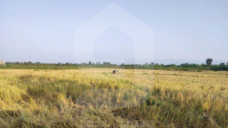 زمین 2000 متری زراعی خشکبیجار موقعیت روستایی - ویترین ملک