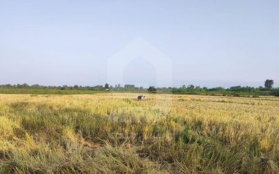 زمین 2000 متری زراعی خشکبیجار موقعیت روستایی - ویترین ملک